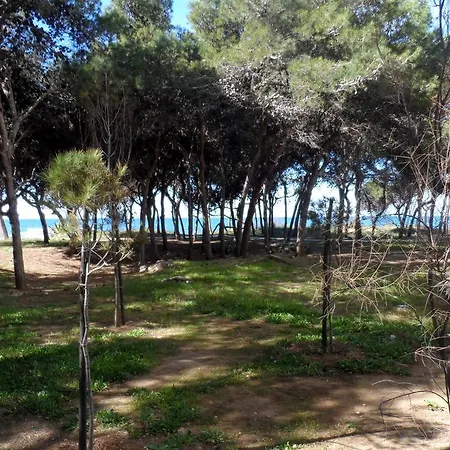 La Sotto Casa A Pochi Passi Dal Mare, Rivabella *