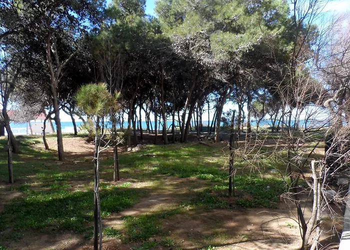 La Sotto Casa A Pochi Passi Dal Mare, Rivabella *